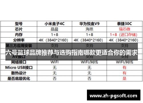 六号篮球品牌推荐与选购指南哪款更适合你的需求