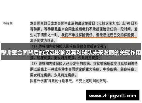 穆谢奎合同背后的深远影响及其对球队未来发展的关键作用