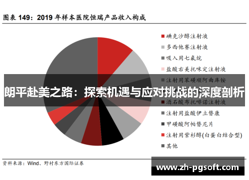 朗平赴美之路：探索机遇与应对挑战的深度剖析