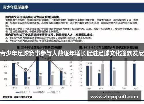 青少年足球赛事参与人数逐年增长促进足球文化蓬勃发展